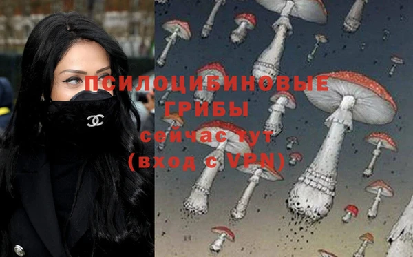 трава Абдулино