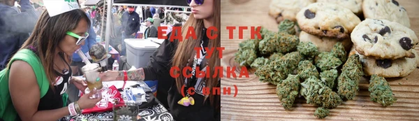 стаф Абаза